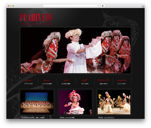 丸正デフォルト WordPress theme - puahinano.com