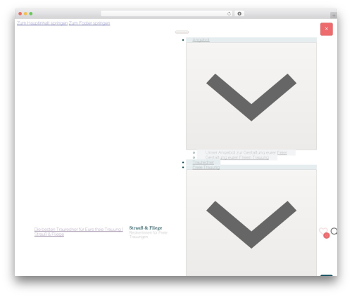 Bricks WordPress website theme - straussundfliege.de