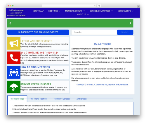 Hello Elementor WP theme - suffolkny-aa.org