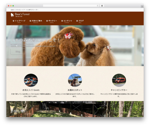 Lightning skin jpnstyle WordPress plugin - bears-forest.com