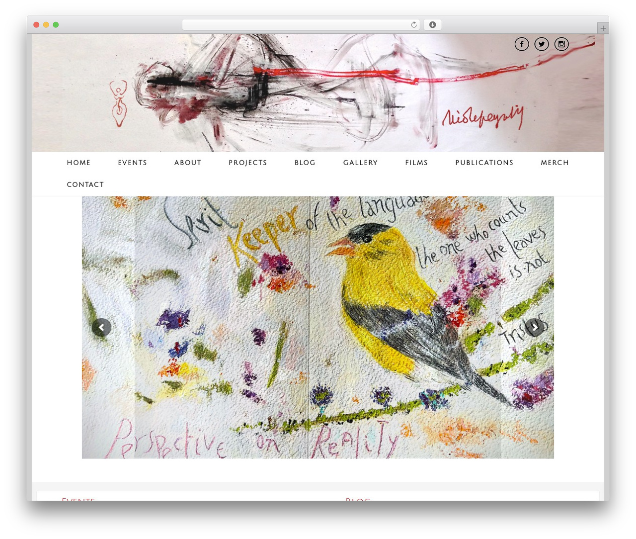 Best WordPress theme Accesspress Basic Pro - nicolepeyrafitte.com