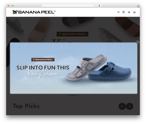 Divi WordPress website theme - bananapeel.net