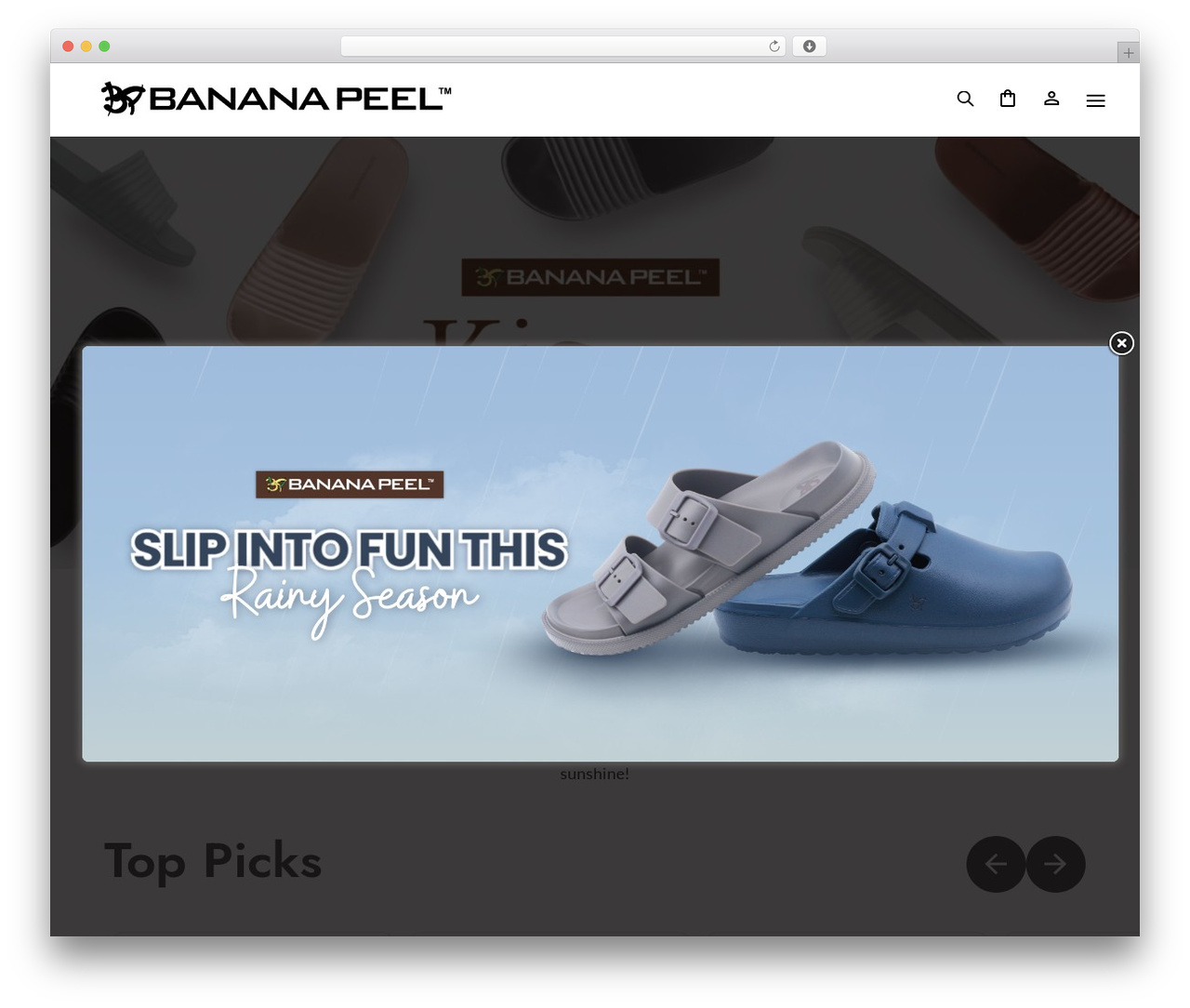 Divi WordPress website theme - bananapeel.net Divi WordPress website theme - bananapeel.net