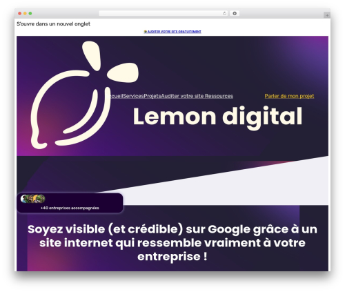 Nextbricks WordPress plugin - lemondigital.digital
