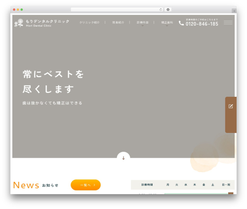 WordPress theme もりデンタルクリニック - moriorthodontic.com