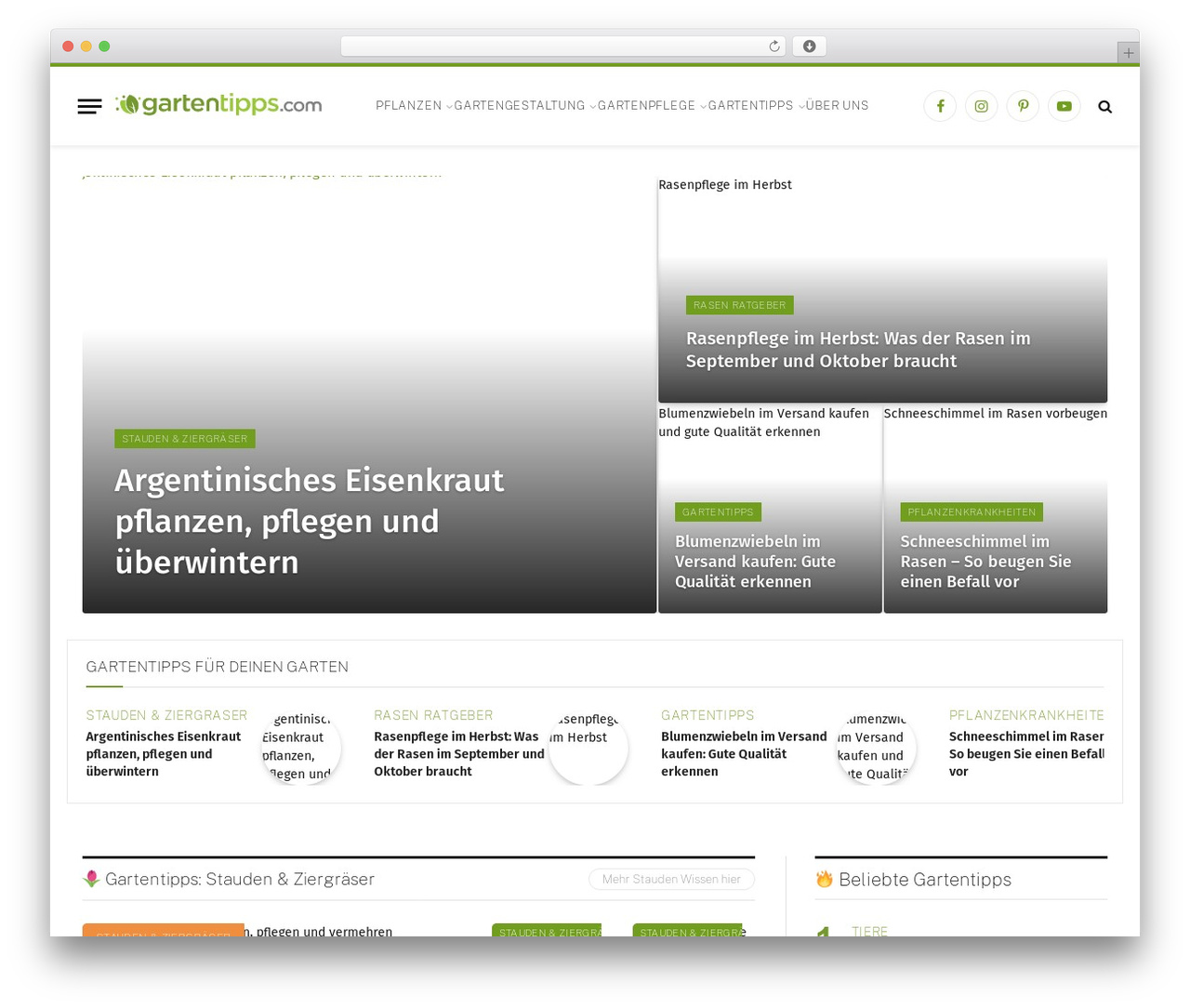 Best WordPress theme SmartMag - gartentipps.com Best WordPress theme SmartMag - gartentipps.com