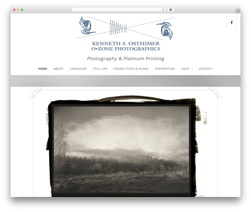 Capture theme WordPress - platinumprintphotography.com