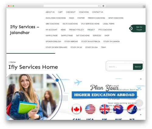 Consultancy Services WordPress theme - iflyservices.in