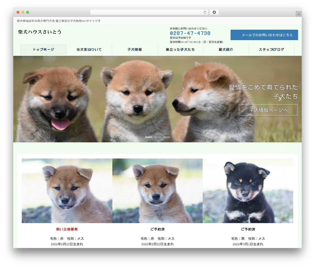 Lightning Pro WordPress theme - shiba-house.com