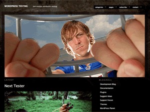 Modularity Lite theme WordPress by Thad Allender