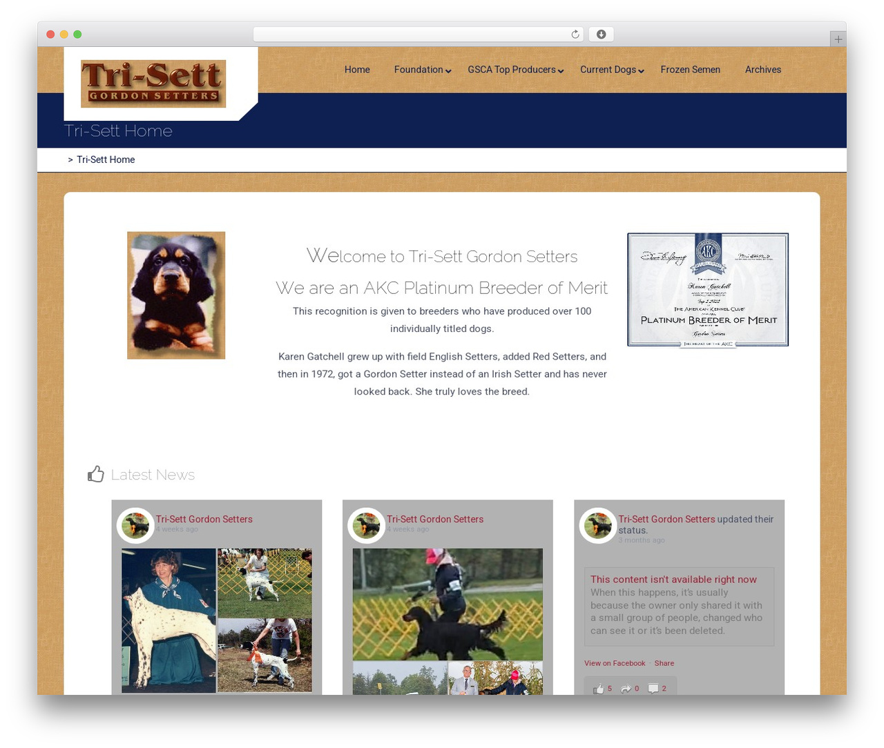 Multi Mobile App WordPress theme - tri-sett.com Multi Mobile App WordPress theme - tri-sett.com