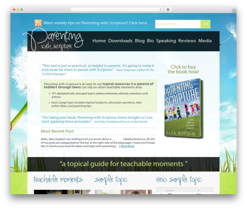 Ajax quick subscribe WordPress plugin - parentingwithscripture.com