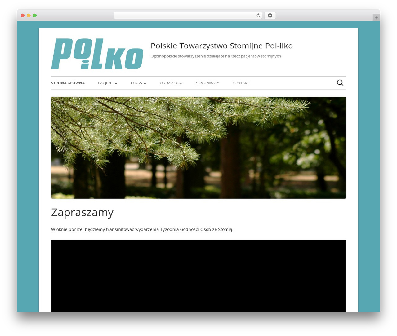 Tiny Forge WordPress theme - polilko.pl Tiny Forge WordPress theme - polilko.pl