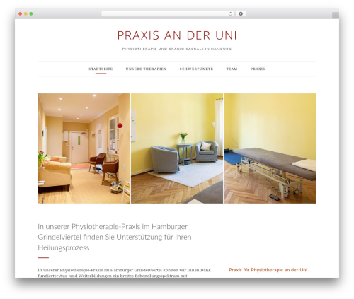 Simple elegant addons WordPress plugin - praxisanderuni.de