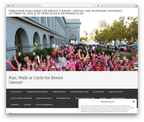 WordPress website theme Minimum Pro Theme - pinkathon.org