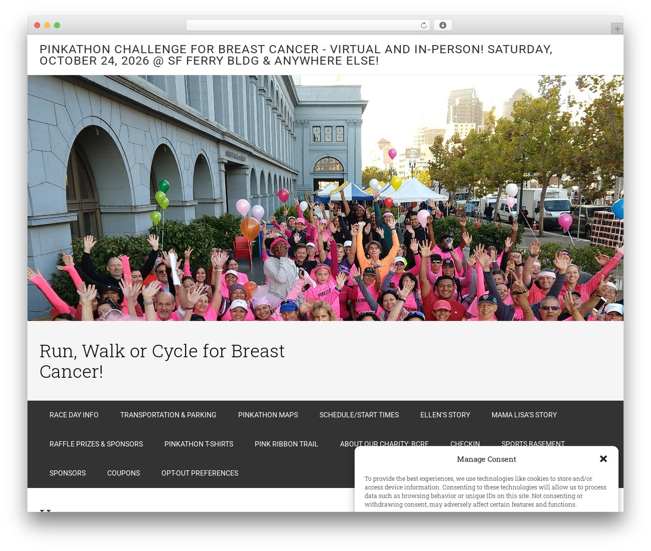 WordPress website theme Minimum Pro Theme - pinkathon.org WordPress website theme Minimum Pro Theme - pinkathon.org