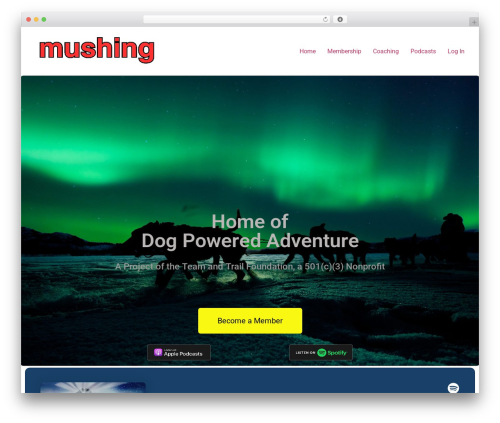 Wp timelines WordPress plugin - mushing.com