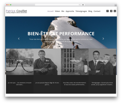 cherry WordPress website theme - patrice-couillet.com