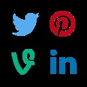 Social Media Widget free WordPress plugin by Alexander Tchernitchenko