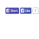 Social Ring (Facebook Like, Google +1, ReTweet, LinkedIn and Pin It) free WordPress plugin by Niccol&ograve; Tapparo & Fabio Gioria