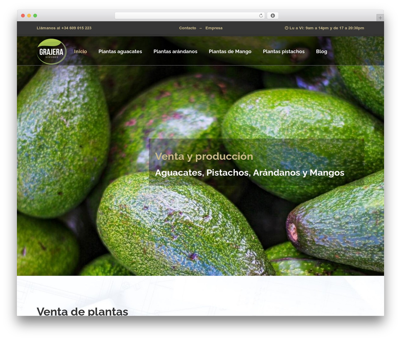 U-Design Child theme WordPress - viverosgrajera.com
