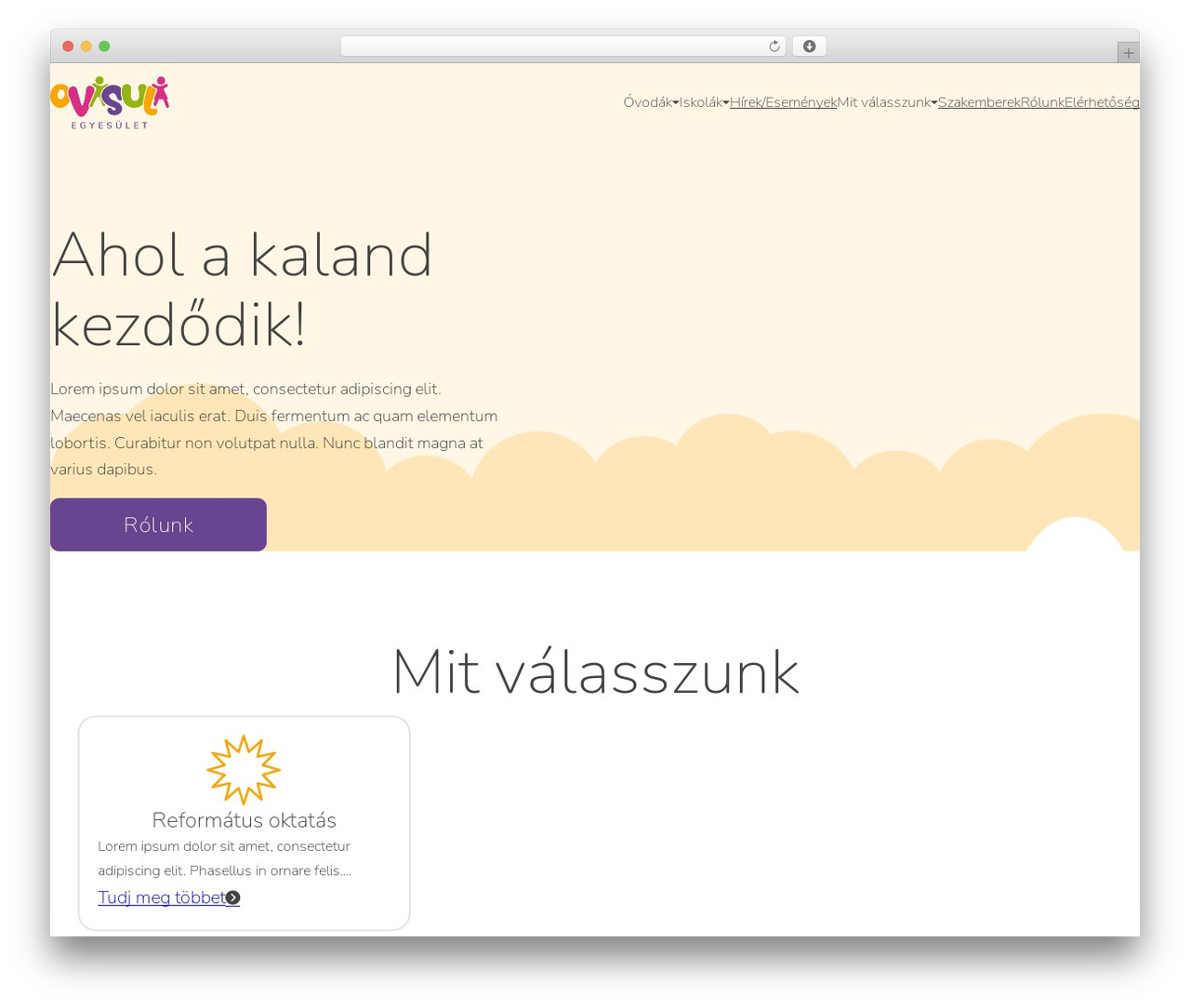 Bricks WordPress theme design - ovisuli.ro