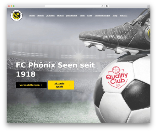 Revslider_new WordPress plugin - fcphoenix.ch