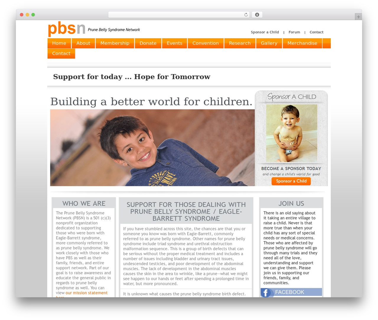FlexSqueeze WordPress theme - prunebelly.org