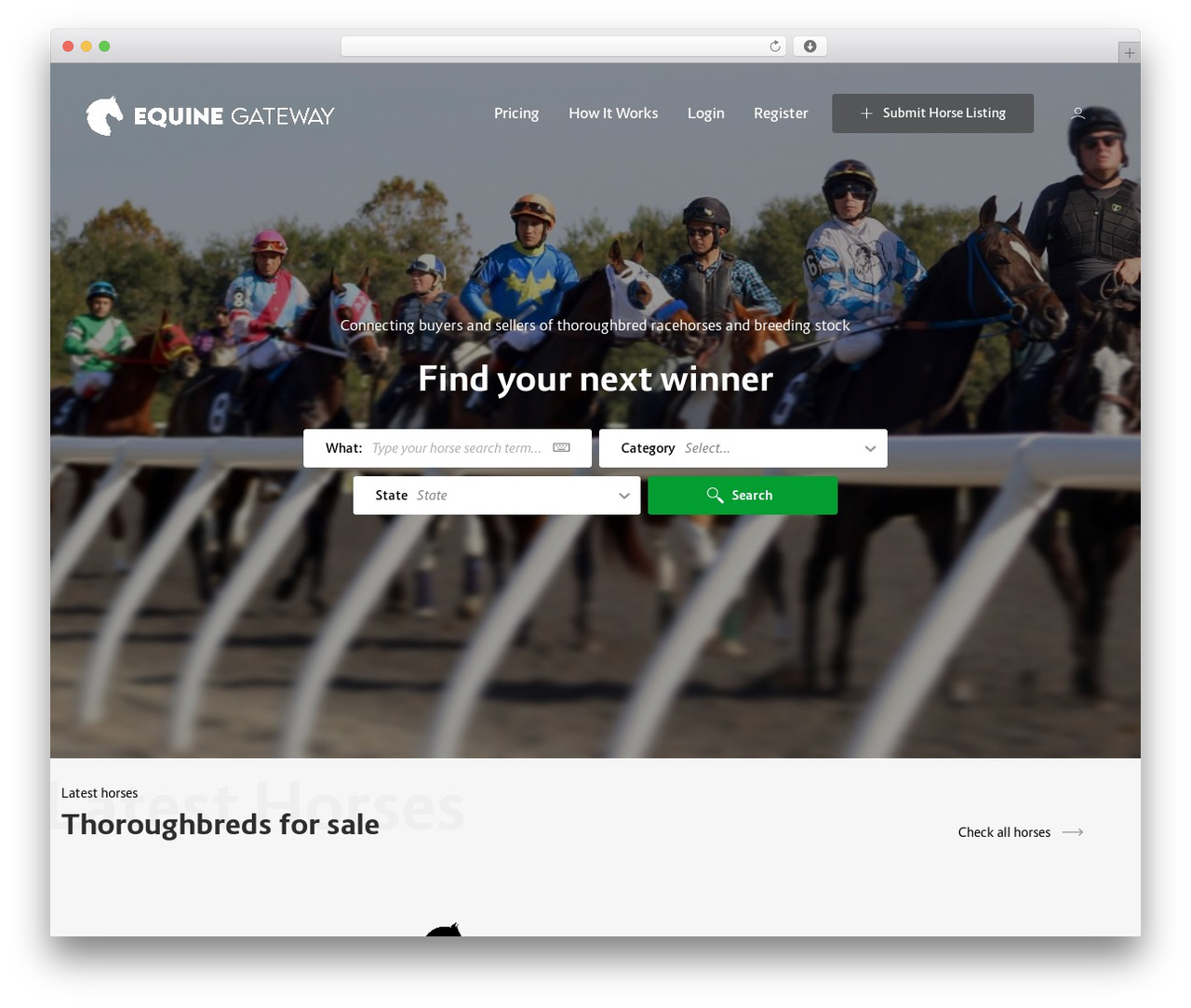 Theme WordPress Lisfinity - equinegateway.com Theme WordPress Lisfinity - equinegateway.com