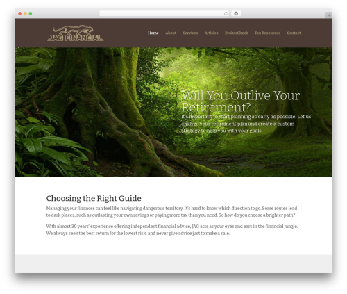 WordPress theme Divi - jagfs.com