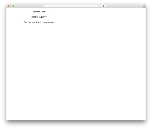 WordPress theme Etch Theme - trendolabs.com