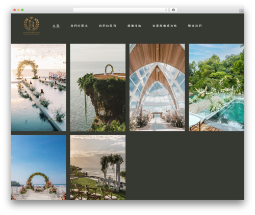 Solene core WordPress plugin - lebaliwedding.com