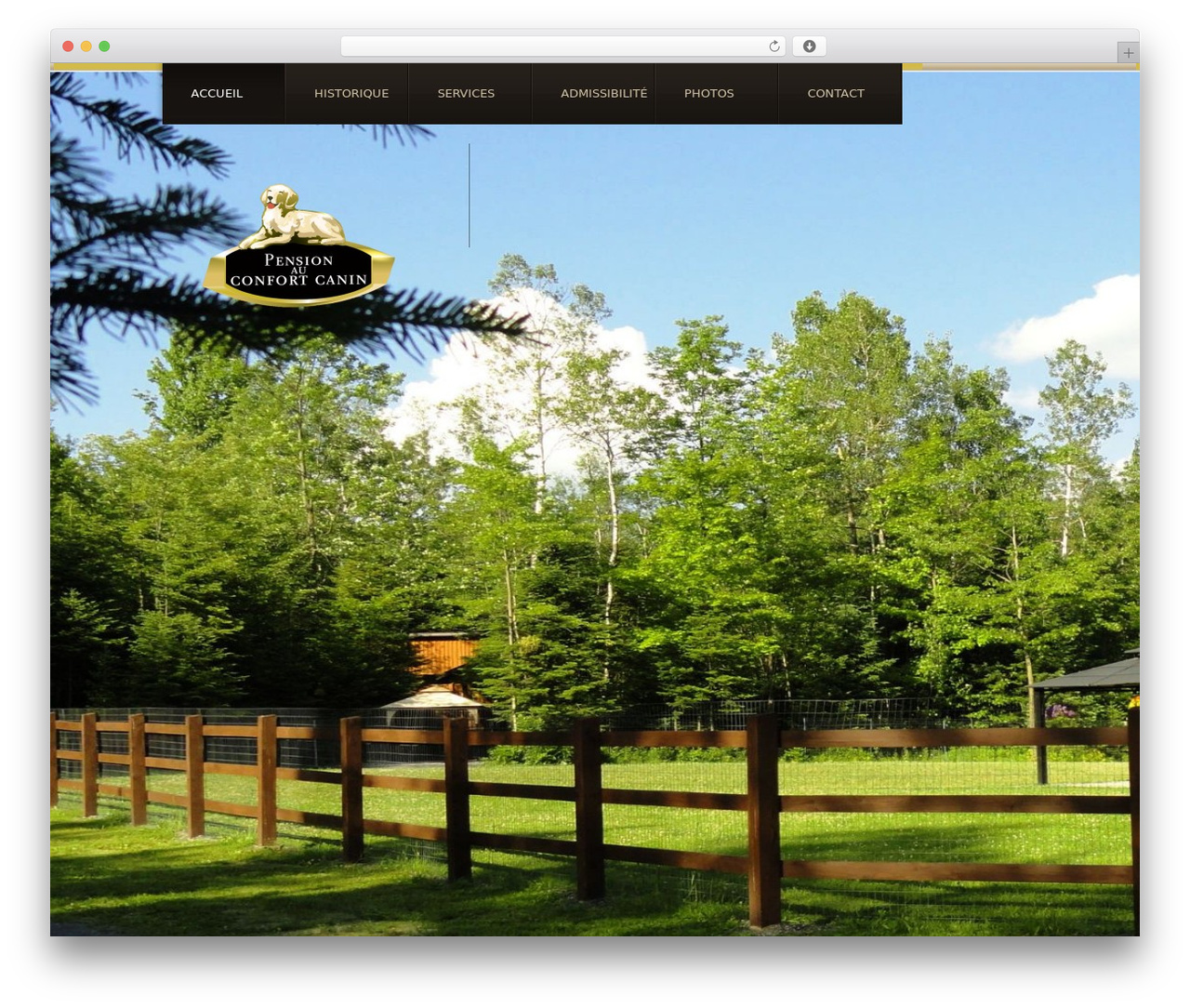 WordPress theme WordPress Theme 1385 - pensionconfortcanin.com