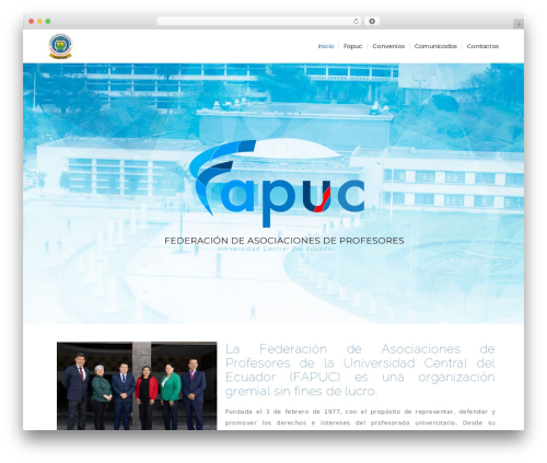 Consultancy WordPress page theme - fapuc.org