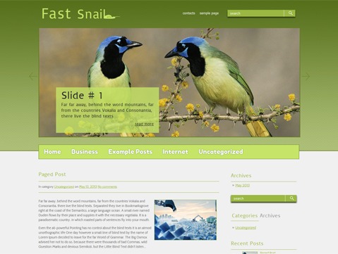 FastSnail theme WordPress