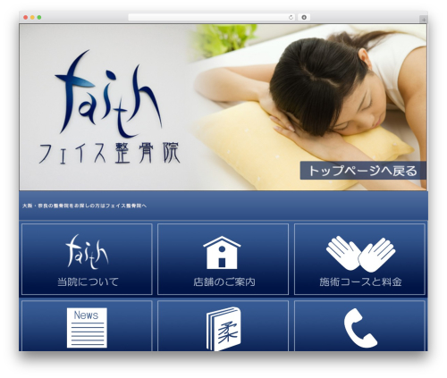 Pacific Malls Development WordPress theme - faith-clinic.jp