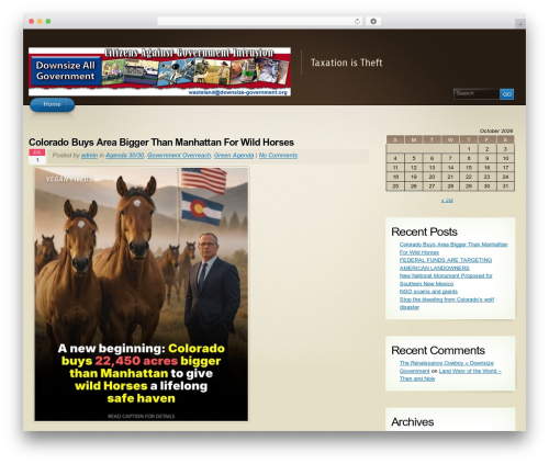WordPress theme Arclite - downsize-government.org