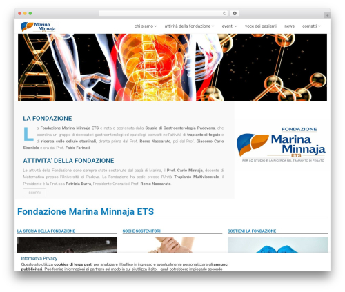WordPress theme Marvel - fondazioneminnaja.com