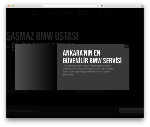Profecient essential WordPress plugin - sasmazbmwustasi.com
