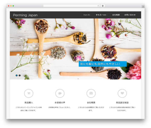 Asteria Lite WordPress theme design - permingjapan.com