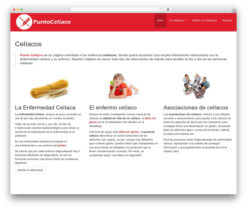 Theme WordPress Future - puntoceliaco.com Theme WordPress Future - puntoceliaco.com