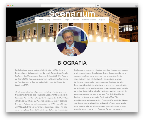 Profile WordPress theme - paulolustosa.com