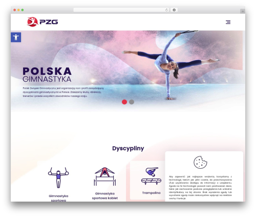 Dlm page addon WordPress plugin - pzg.pl