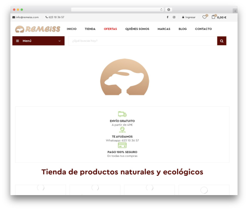 WordPress theme Ogami - remeiss.com