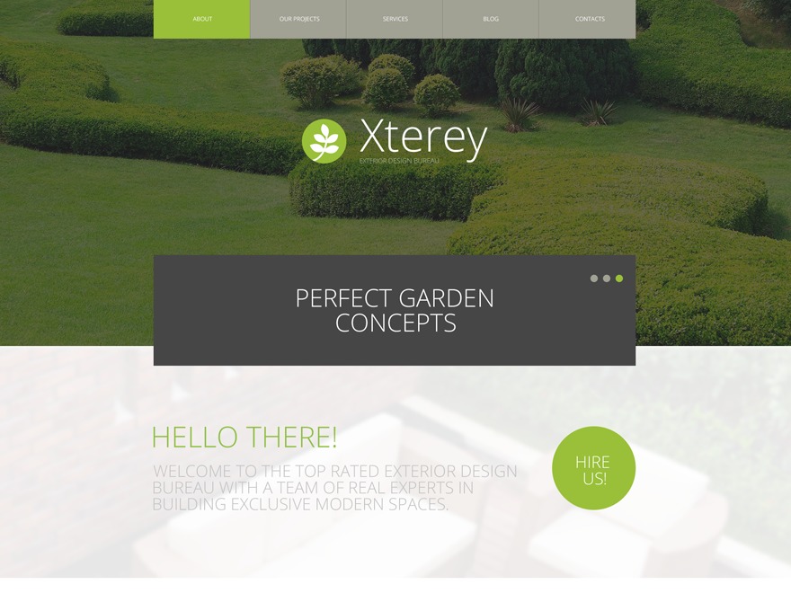 WordPress theme theme53590