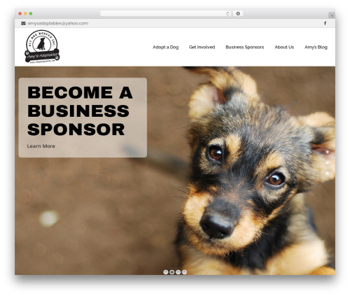 List Petfinder Pets (petfinder-listings) free WordPress plugin - amysadoptables.com List Petfinder Pets (petfinder-listings) free WordPress plugin - amysadoptables.com