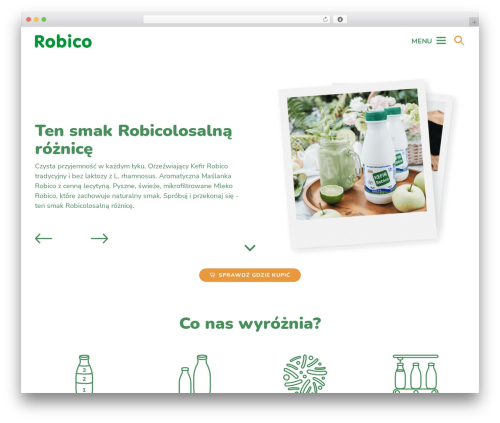 Empty Template theme WordPress - robico.com.pl