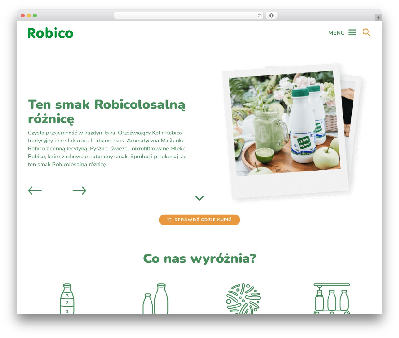 Empty Template theme WordPress - robico.com.pl