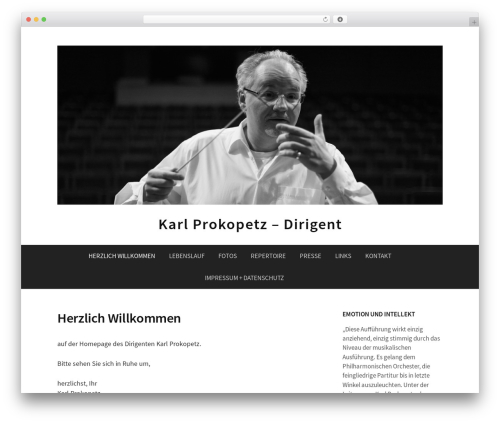 First WordPress theme - prokopetz.de