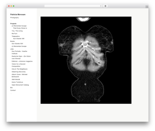 Touchfolio WordPress theme design - patriciamorosan.com